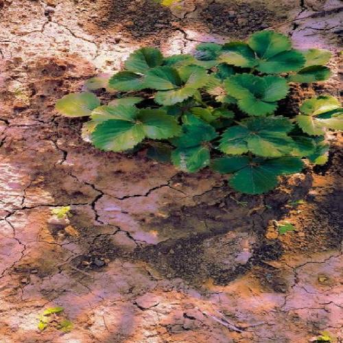 سهراب پاکزاد نمیرم تا بیای باید حرف بزنیم بیا مشکلو حل کن